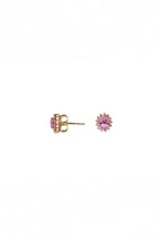 Oval Pink Sapphire Halo Studs