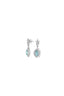 Paraiba Oval Drop Earrings