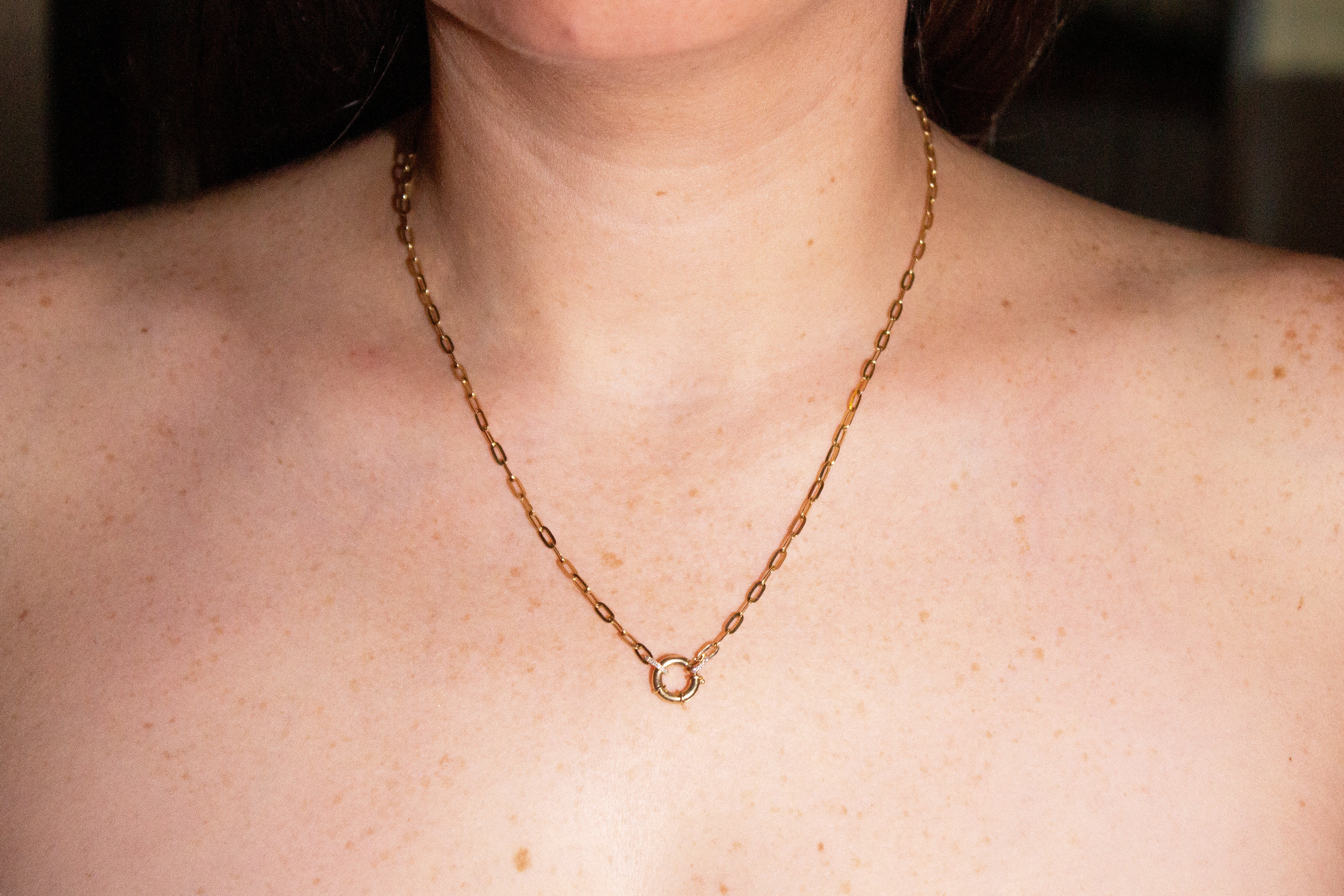 Clasp Link Chain Necklace Secondary image